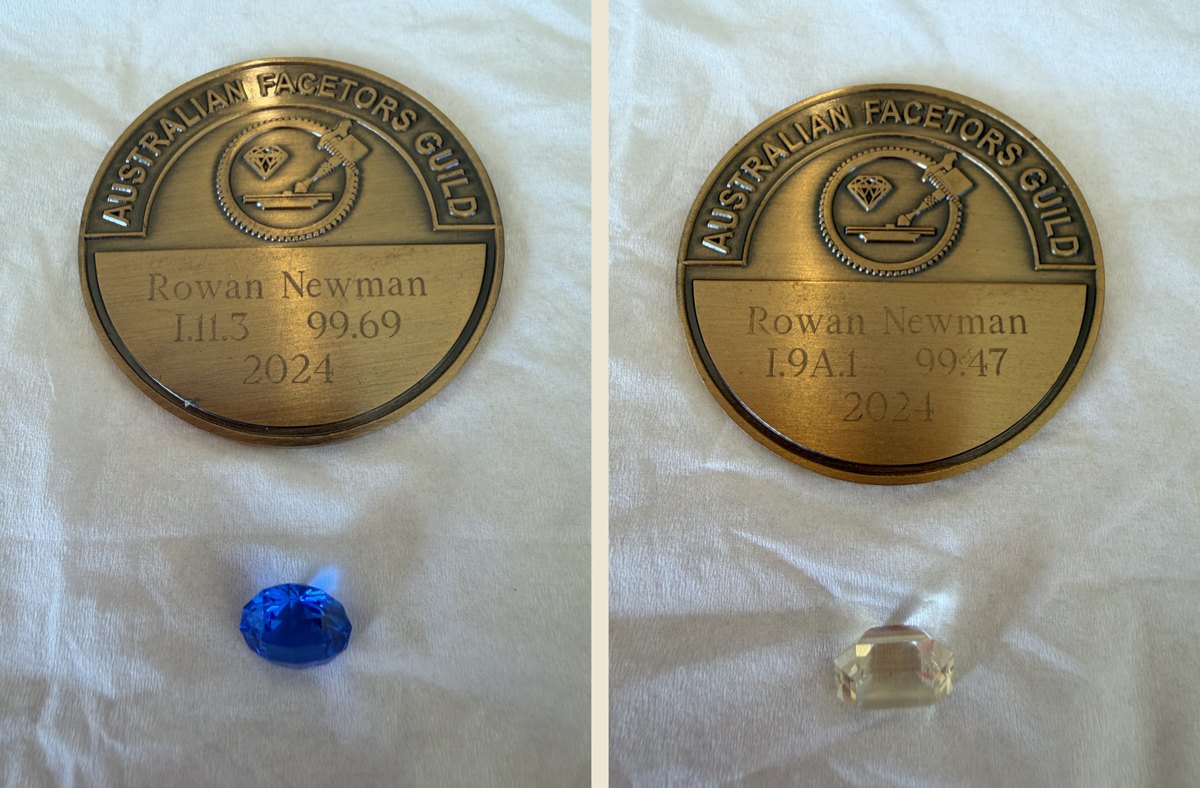Rowan Newman's two 2024 first-place medals with their stones, scored 99.69 and 99.47